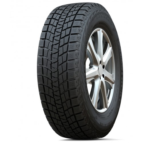 255/50R19